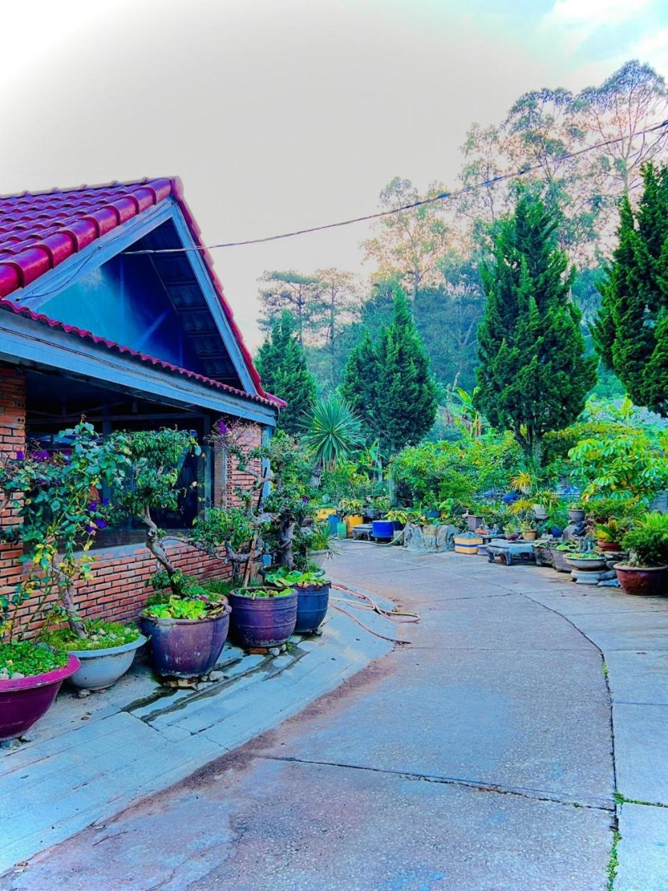 Hoa Chuong - Villa - Homestay Da Lat Dış mekan fotoğraf